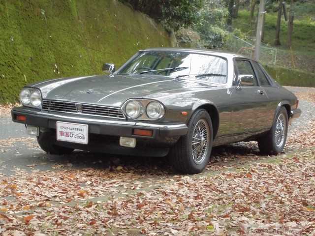 jaguar_1990